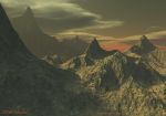 Desert_2EarlyMorning.jpg