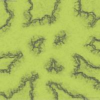 attributesmap5it.jpg